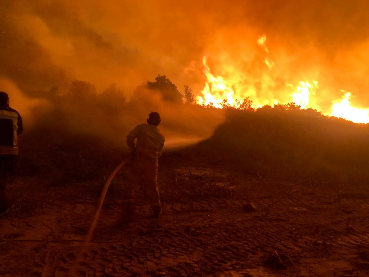 Manisa’da makilik alanda başlayan yangın söndürüldü  #4