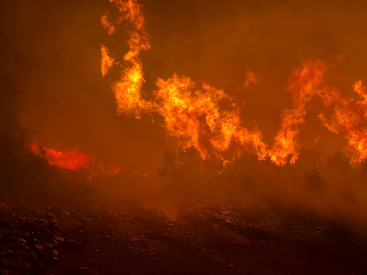 Manisa’da makilik alanda başlayan yangın söndürüldü  #1