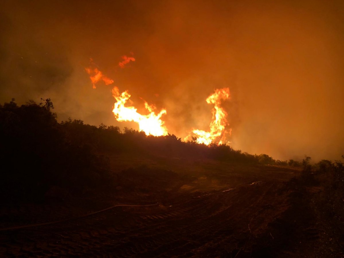 Manisa’da makilik alanda başlayan yangın söndürüldü  #5