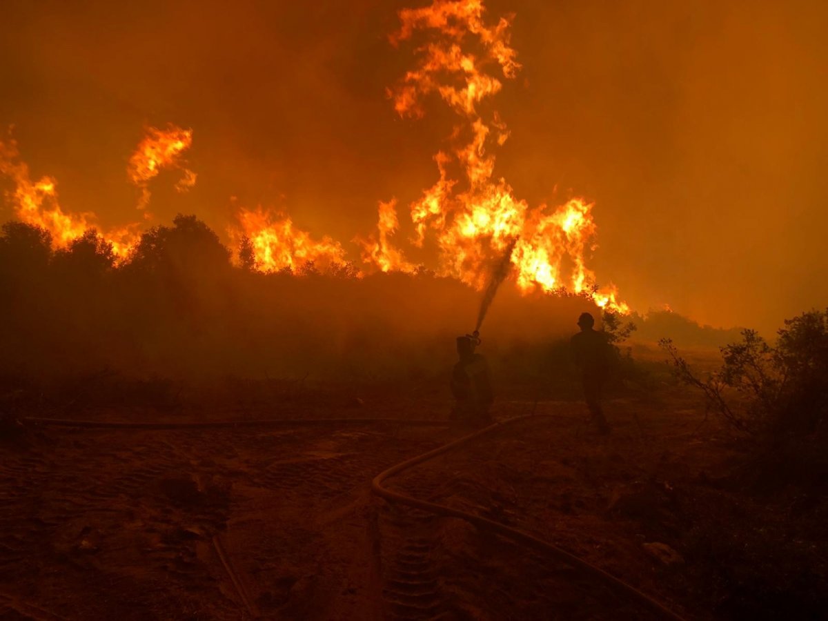 Manisa’da makilik alanda başlayan yangın söndürüldü  #2