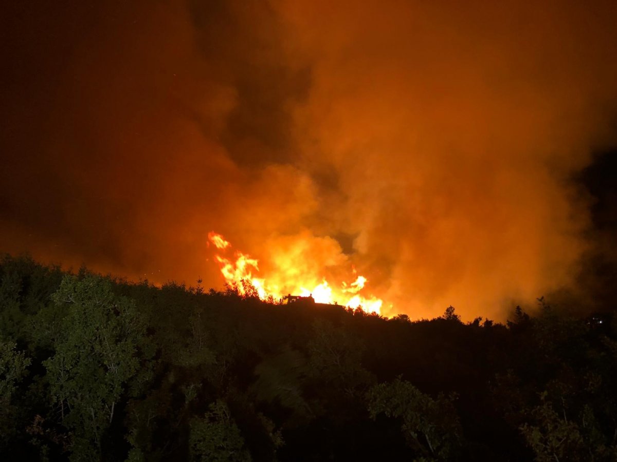 Manisa’da makilik alanda başlayan yangın söndürüldü  #6