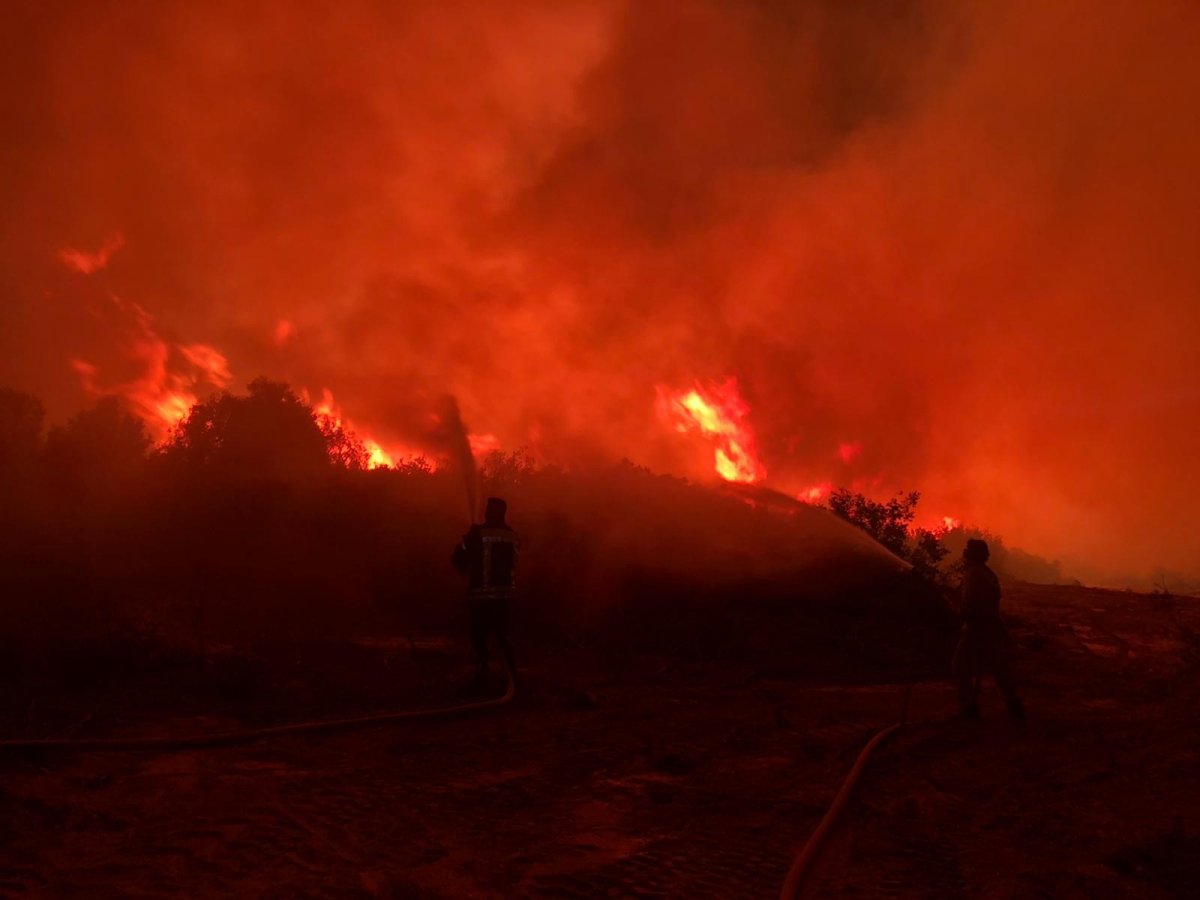 Manisa’da makilik alanda başlayan yangın söndürüldü  #3