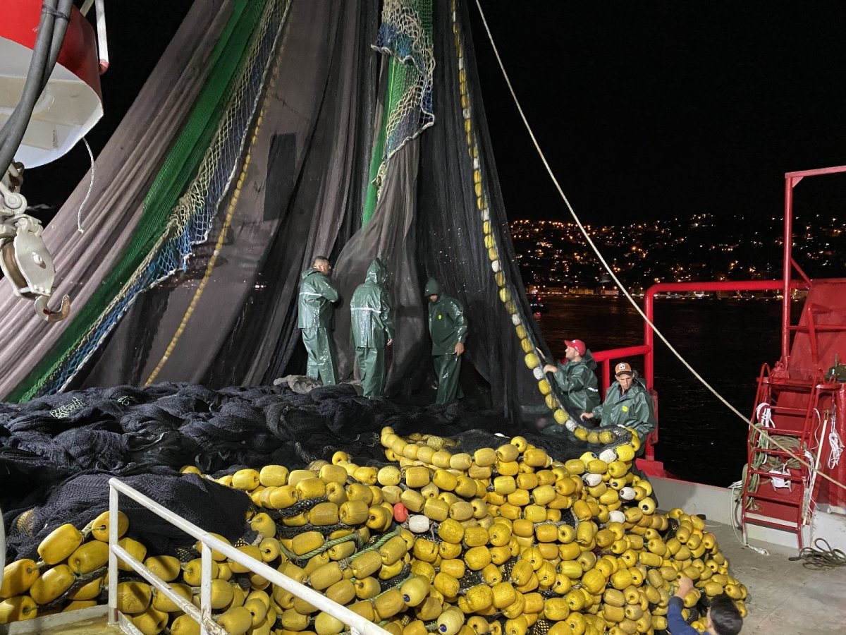 Av yasağı bugün bitti: Balıkçılar denizle kavuştu #1