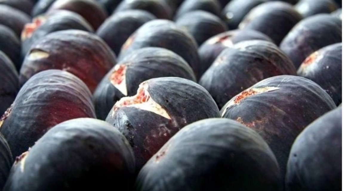 Kalorisi düşük, etkisi yüksek: Siyah incirin faydaları #1