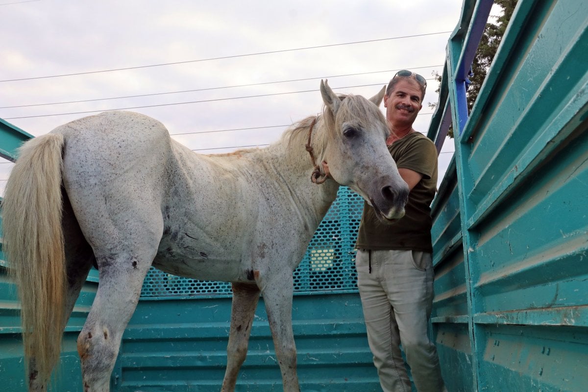 Antalya’da emekli polis, çalınan atını muhbir tutarak buldu #1
