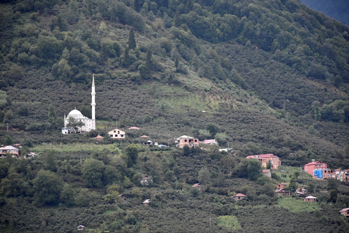 Gümüşhane den ayrılıp Giresun a bağlanmak isteyen 2 köyde referandum #7