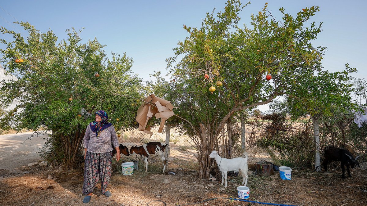 Manavgatlı Cemile Teyze, yangında kaybettiği ameliyat parasına kavuştu #2