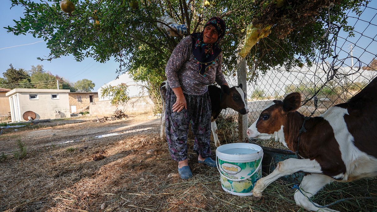 Manavgatlı Cemile Teyze, yangında kaybettiği ameliyat parasına kavuştu #4