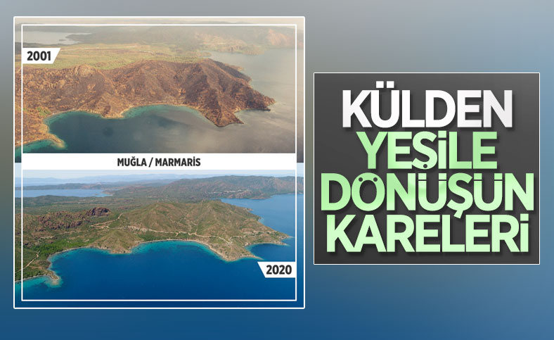 Yanan ormanlar yeniden yeşile döndü
