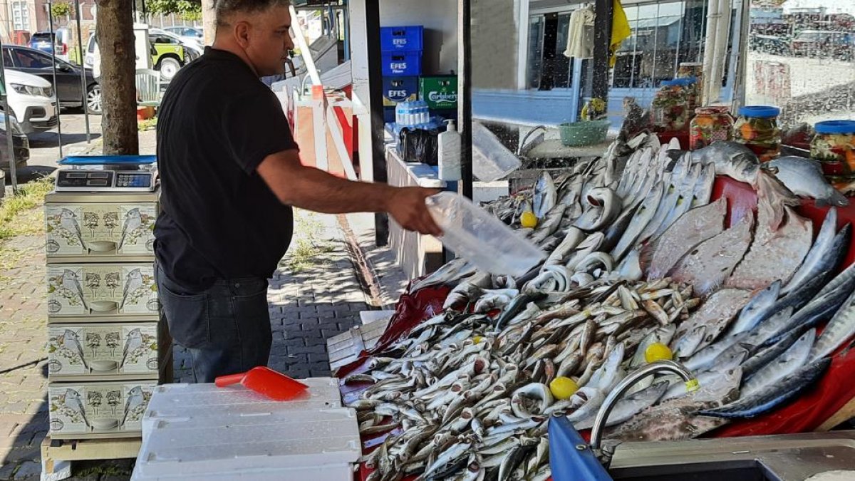 Balıkçılar isyanda: Palamut zengin balığı oldu, kilosu 135 TL