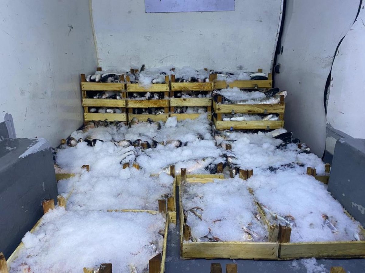 Zonguldak ta balıkçılar denize açıldı: 60 kasa barbun ve kefal tuttu #1