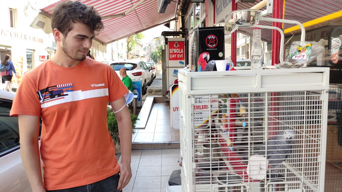 Bursa daki şakacı papağan, yoldan geçenleri taklitle güldürüyor #3