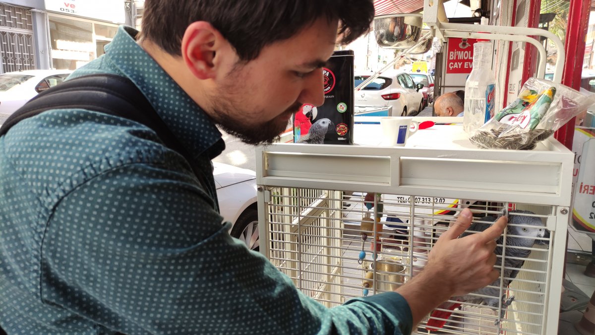 Bursa daki şakacı papağan, yoldan geçenleri taklitle güldürüyor #1