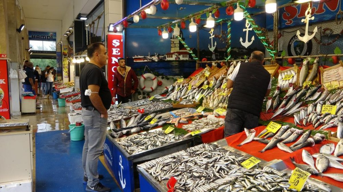 Kocaeli de balıkçılar, fiyatların ilerleyen günlerde düşeceğine işaret etti #5
