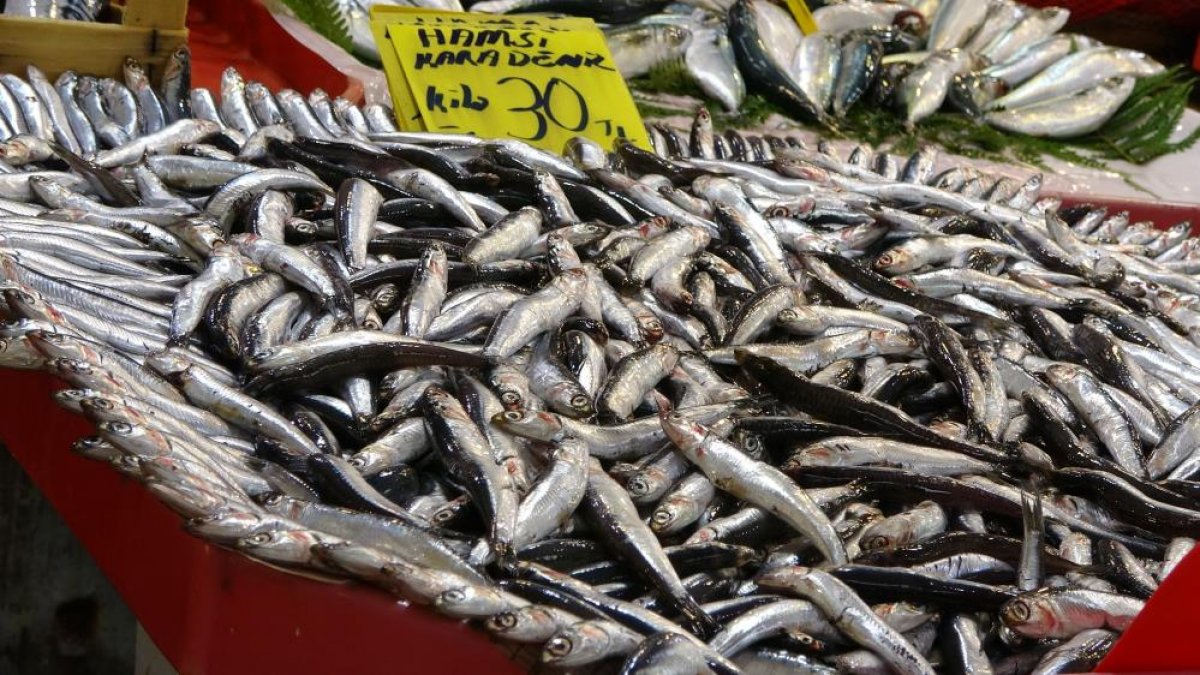 Kocaeli de balıkçılar, fiyatların ilerleyen günlerde düşeceğine işaret etti #3
