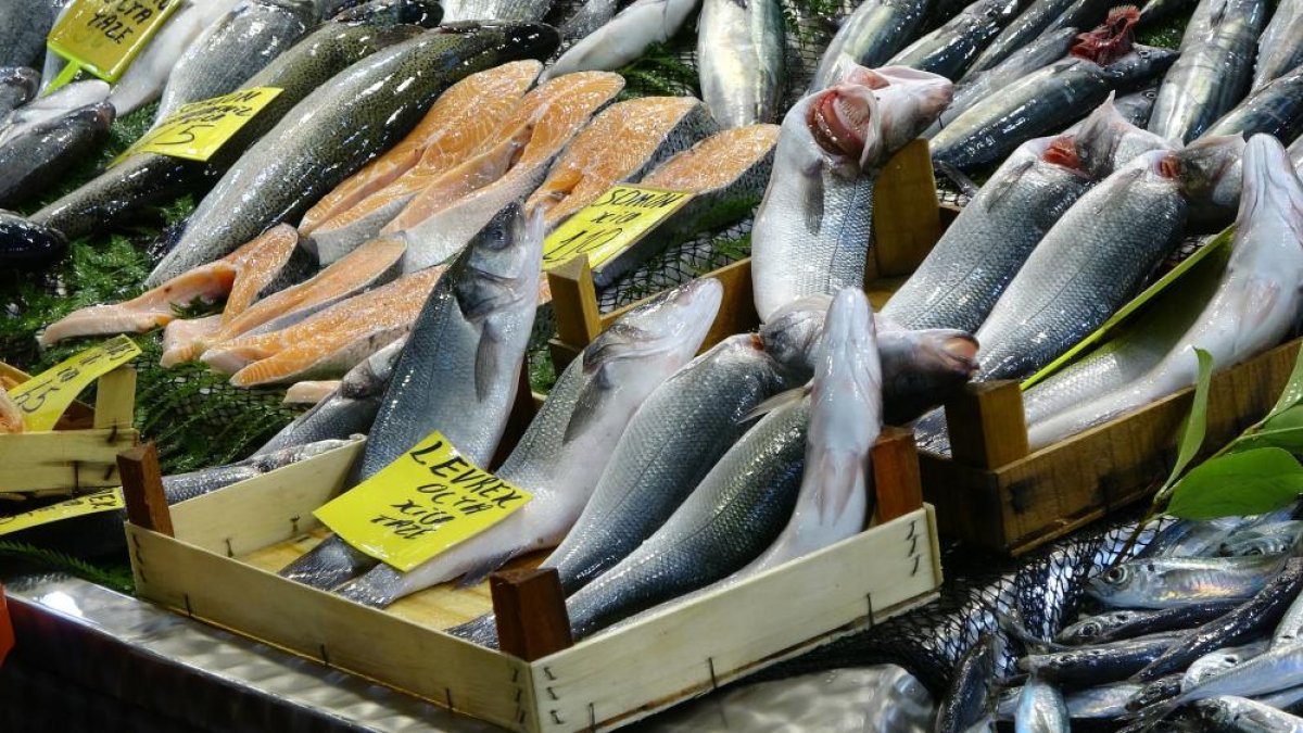 Kocaeli de balıkçılar, fiyatların ilerleyen günlerde düşeceğine işaret etti #2