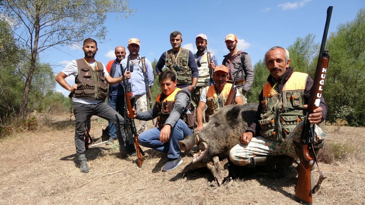 Sivas’ta domuzlar tarlaları talan etti, avcılar nöbet tuttu #11