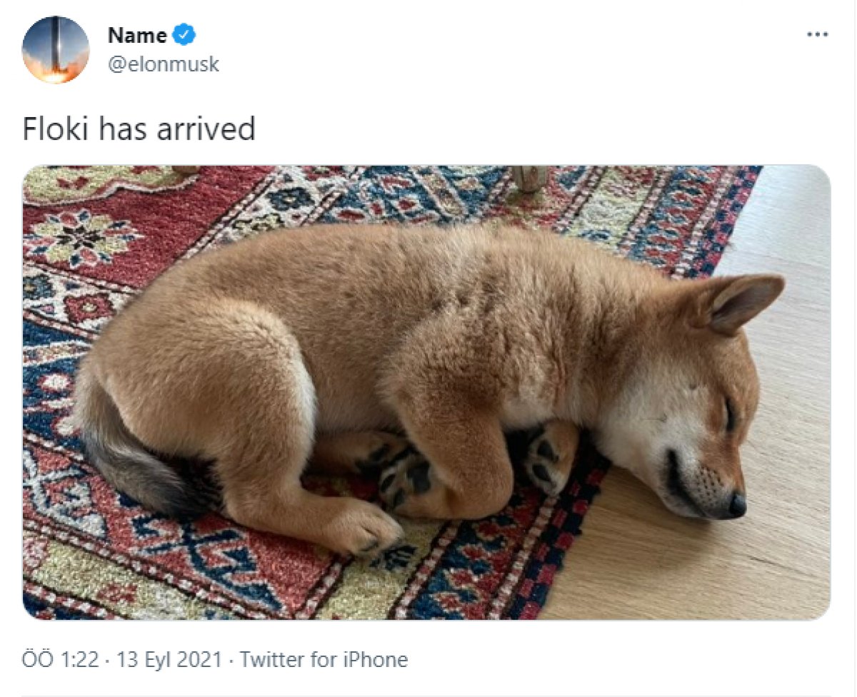 Elon Musk ın köpeğine verdiği isim, bilinmeyen kripto paranın değerini yükseltti #1