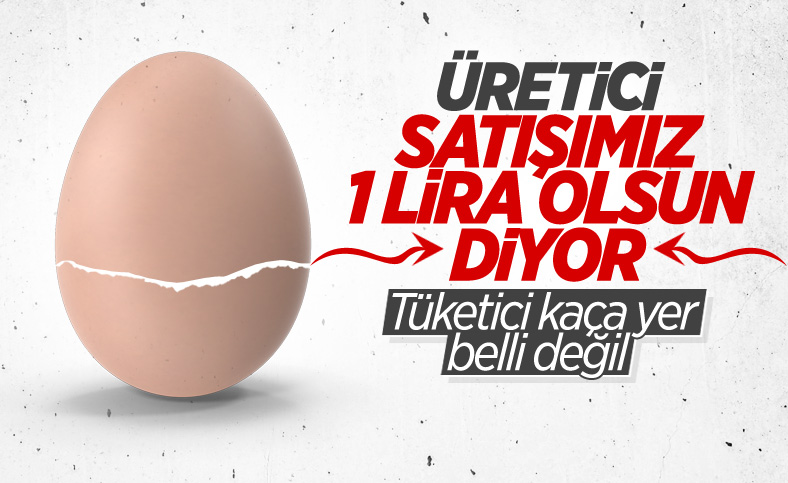 Yumurta fiyatları katlandı: Üreticilerden 'adet fiyatını 1 lira yapalım' talebi