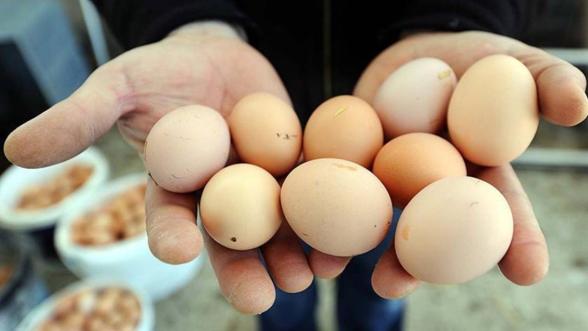 Yumurta fiyatları katlandı: Üreticilerden  adet fiyatını 1 lira yapalım  talebi #2
