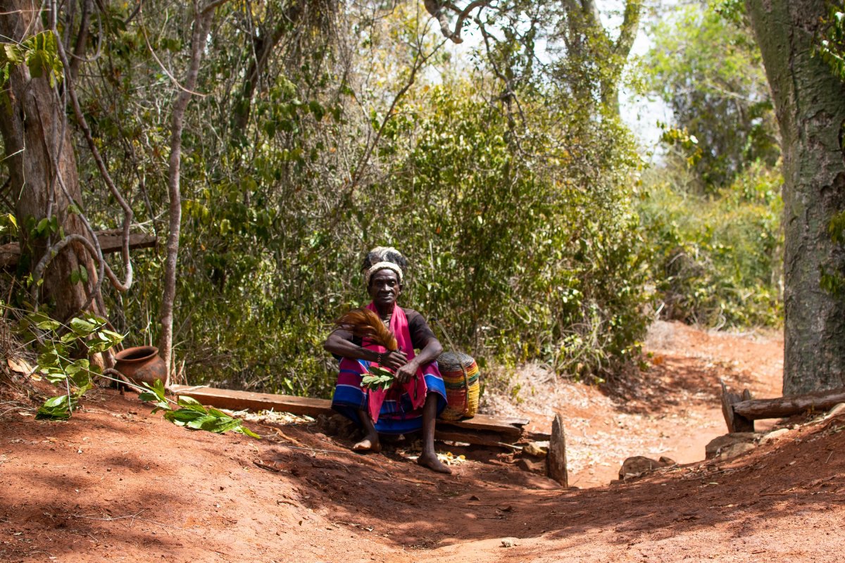 Kuraklık Kenya da çiftçileri zora soktu #1