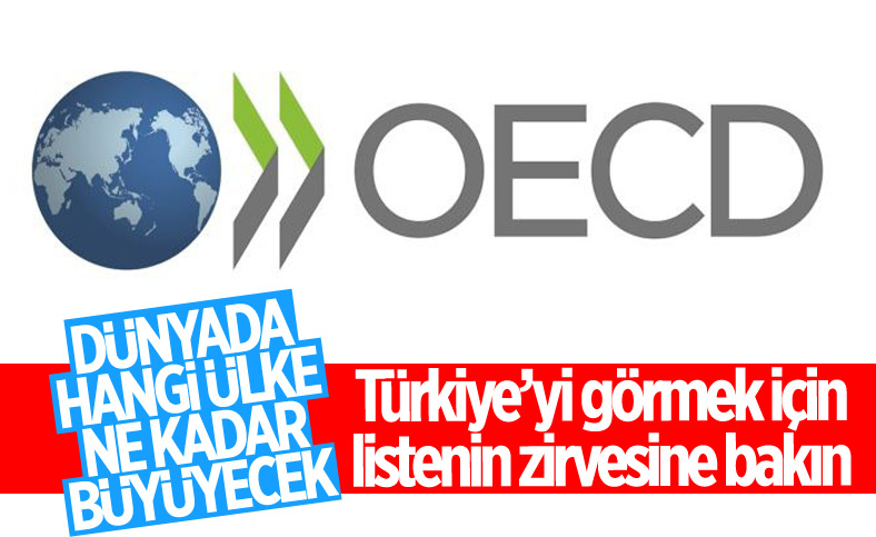 OECD Türkiye'nin büyüme tahminini yüzde 5,7'den yüzde 8,4'e çıkardı