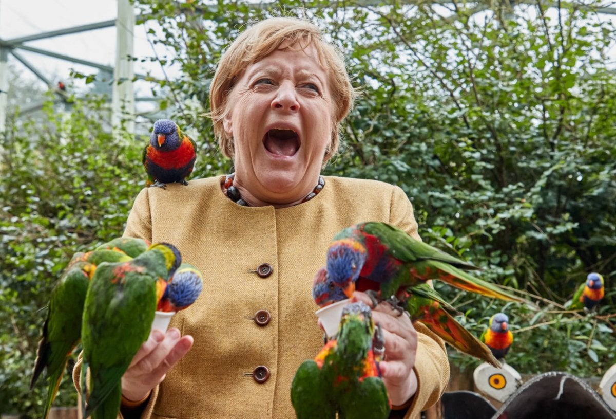 Görevi bırakmaya hazırlanan Angela Merkel, kuş parkını ziyaret etti  #1