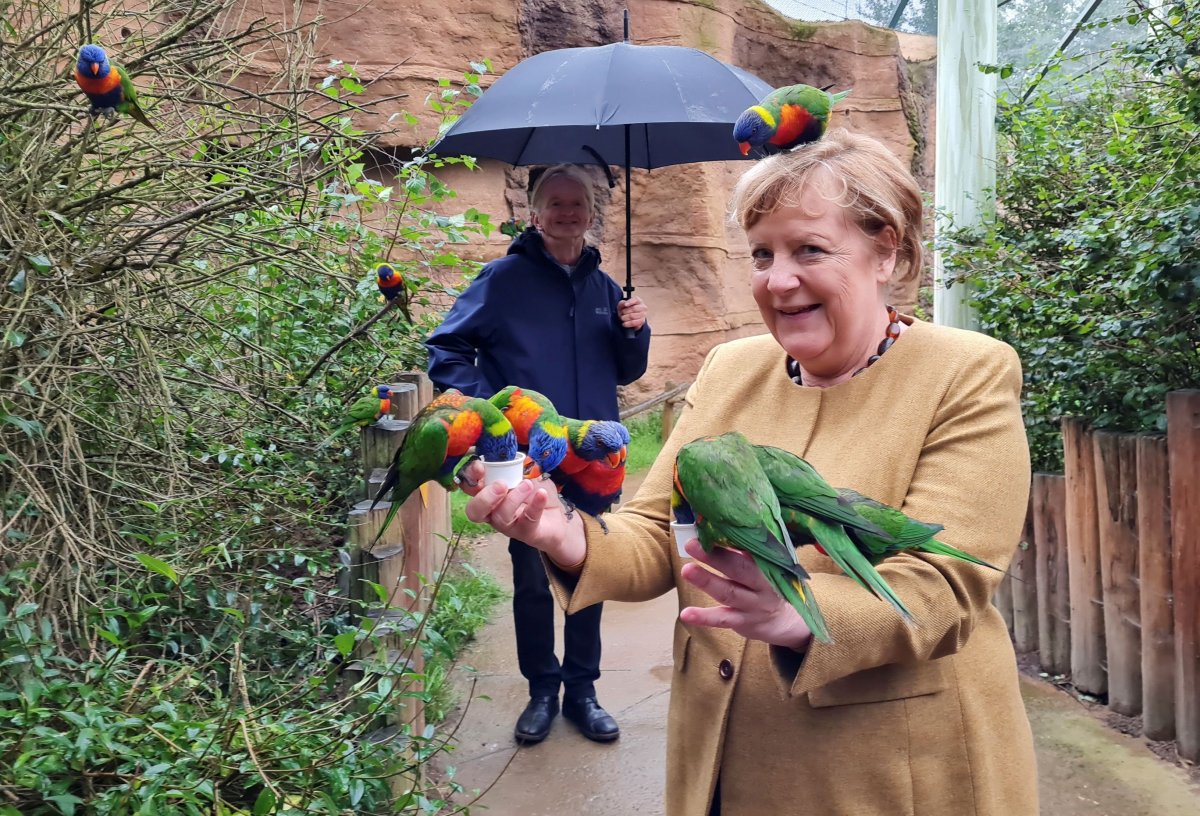 Görevi bırakmaya hazırlanan Angela Merkel, kuş parkını ziyaret etti  #7