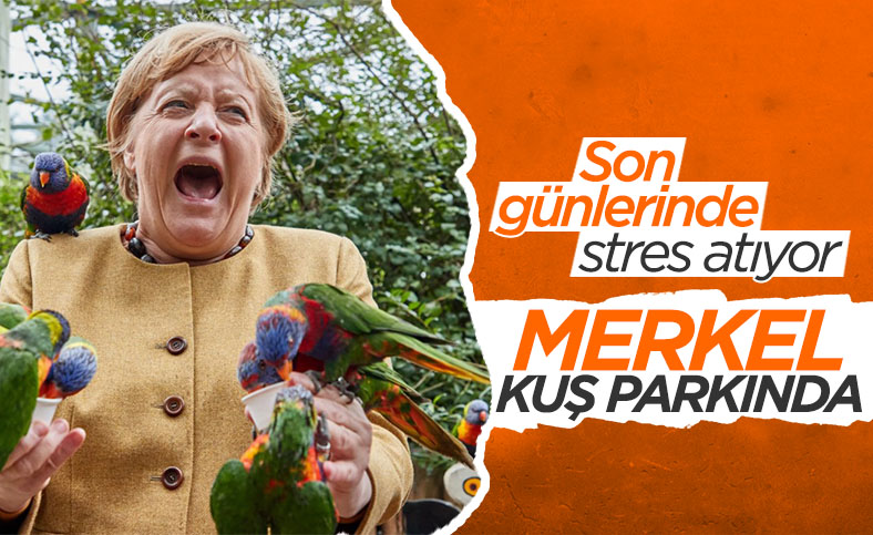 Görevi bırakmaya hazırlanan Angela Merkel, kuş parkını ziyaret etti