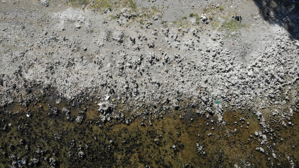 Van Gölü’nün suyu çekildi, binlerce yıllık mikrobiyalitler gün yüzüne çıktı #2