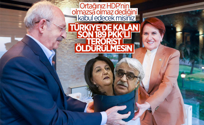 HDP'nin Millet İttifakı'na dayattığı politika şartları belli oldu