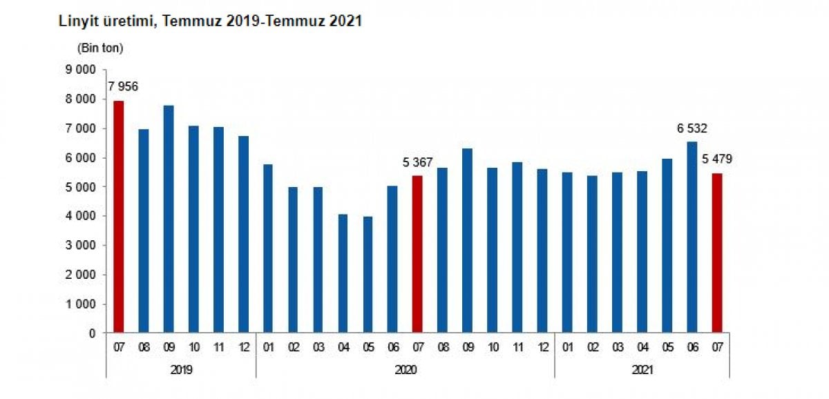 TÜİK, katı yakıtlar Temmuz 2021 istatistiklerini açıkladı #1