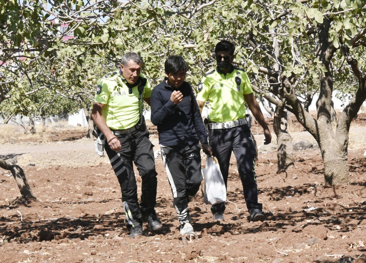 Şanlıurfa’da, fıstık bahçesinde 17 kaçak göçmen yakalandı #6