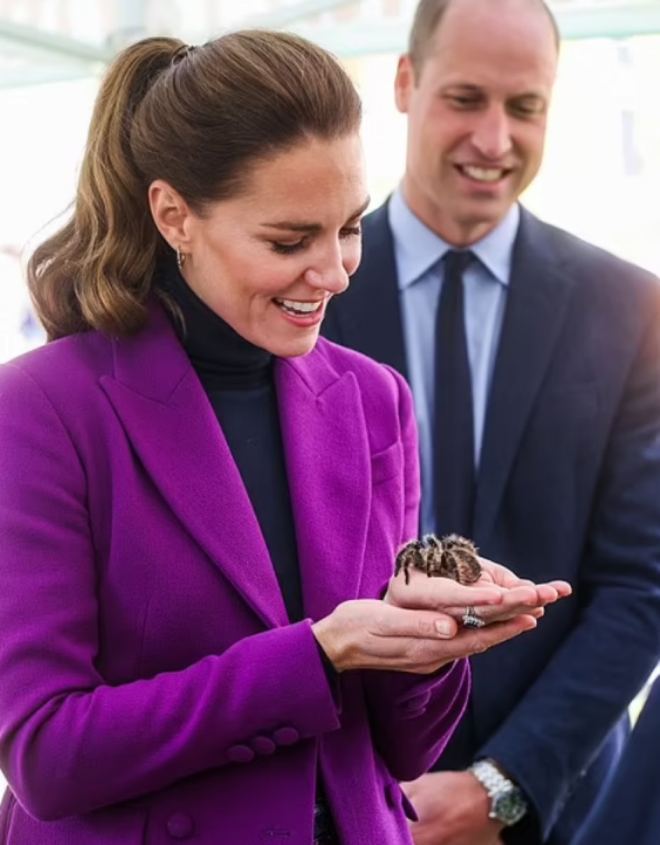 Prens William ve Kate Middleton, Kuzey İrlanda da #3