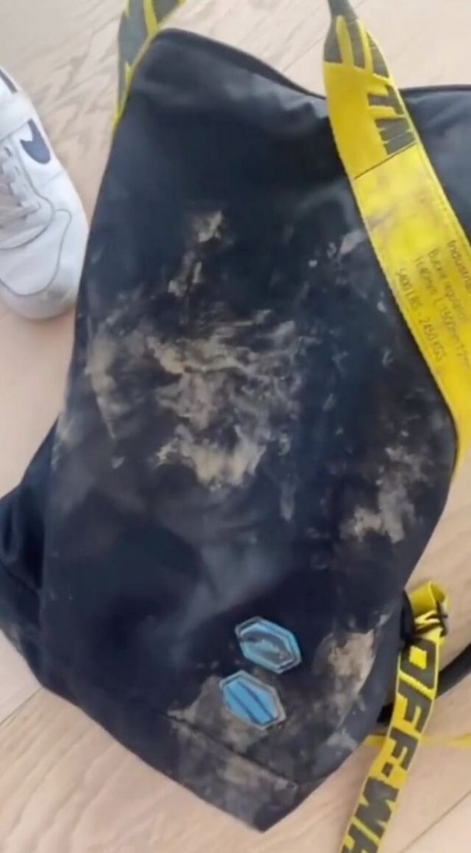 Shakira, iki yaban domuzunun saldırısına uğradı #1