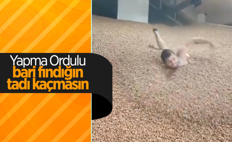 Ordu'daki TikToker, fındıkların içinde yüzüyor