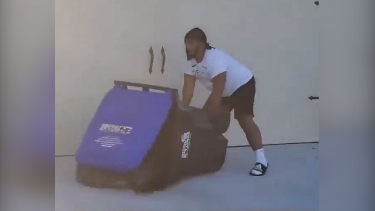 ABD de evinin bahçesine giren timsahı çöp bidonuyla yakaladı #4