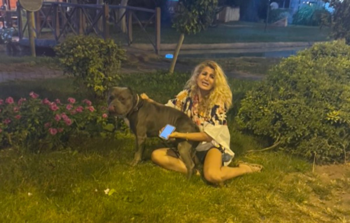 Antalya Da Pitbull Saldirisi Baska Bir Kopegi Oldurdu