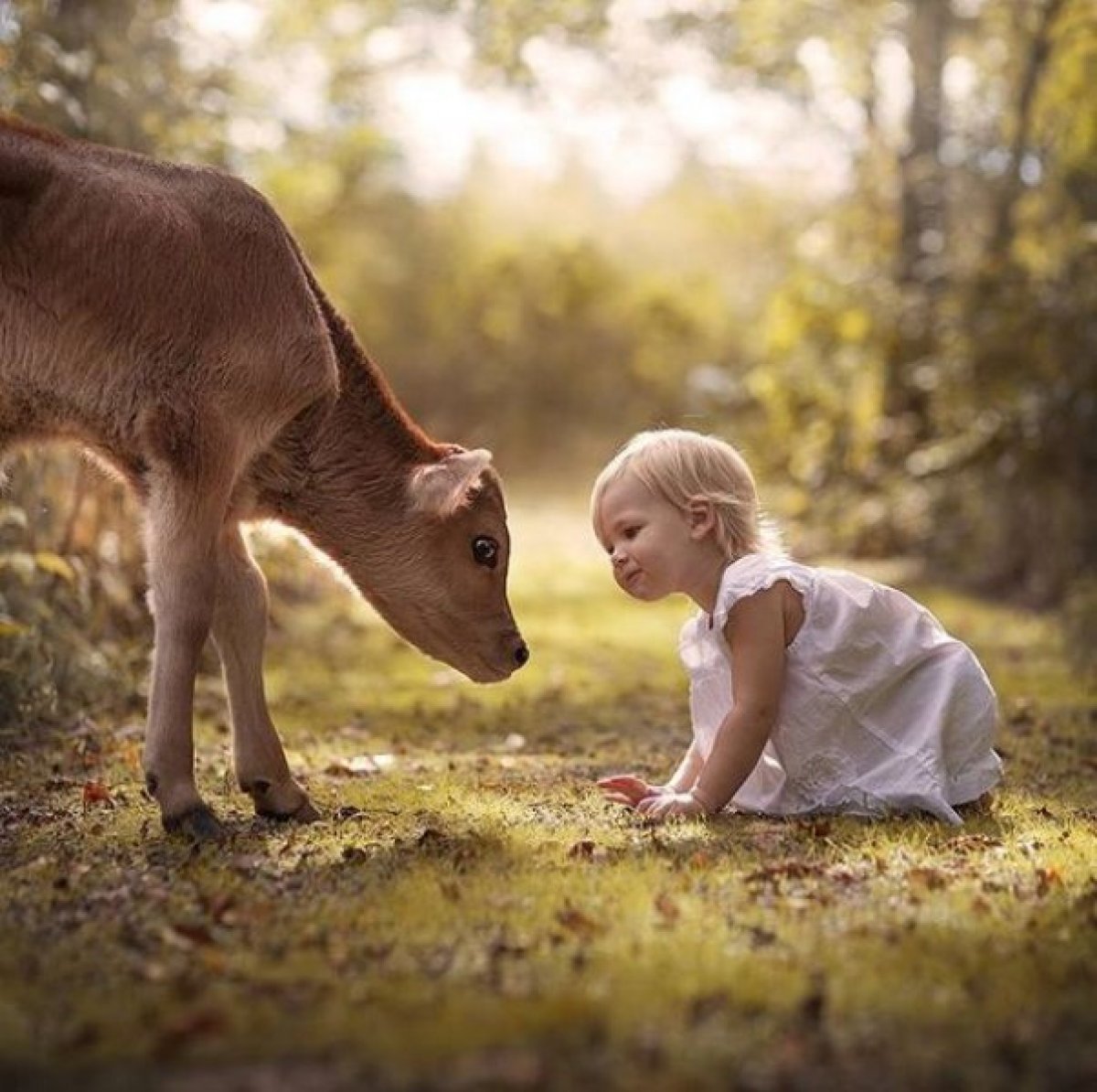 Трогательный мир. Для детей. Животные. Маленькие дети и животные.