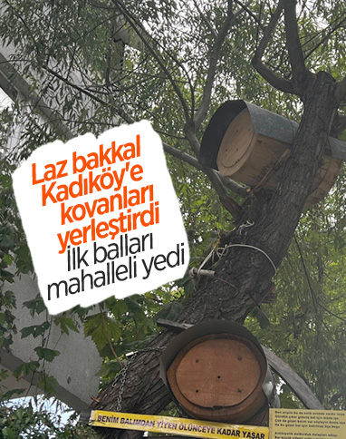 Kadıköy'deki ağaca kurulan kovanın balları, mahalleliye ikram edildi