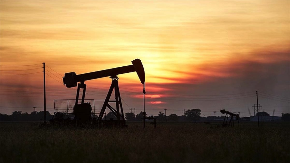 Küresel piyasalarda petrol fiyatları bir yılda ikiye katlandı #4