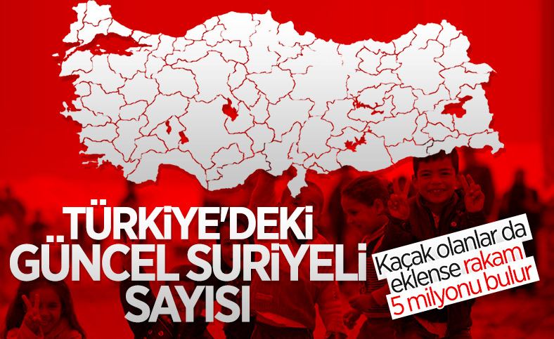 Türkiye'de 3.7 milyon Suriyeli geçici koruma statüsünde