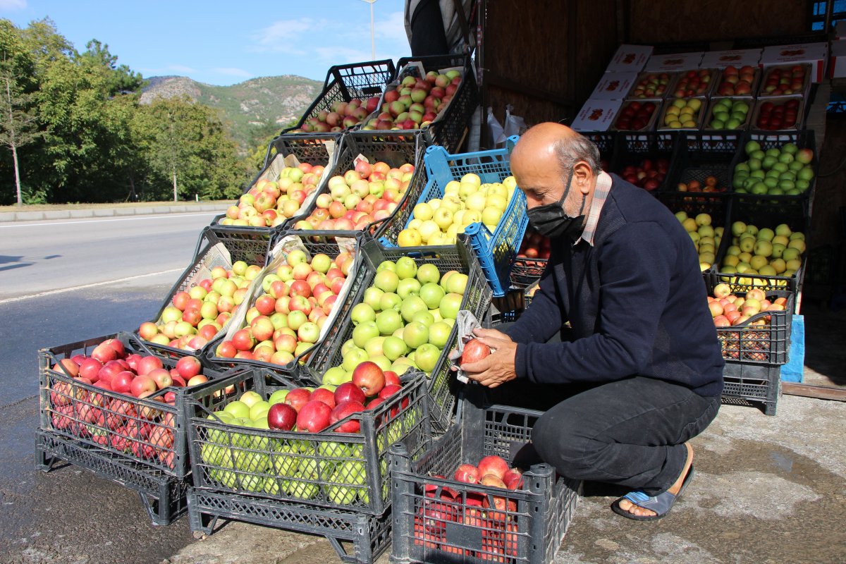 Amasya’da kilosu dalında 1,5 lira olan elma manavda 6 lira #5