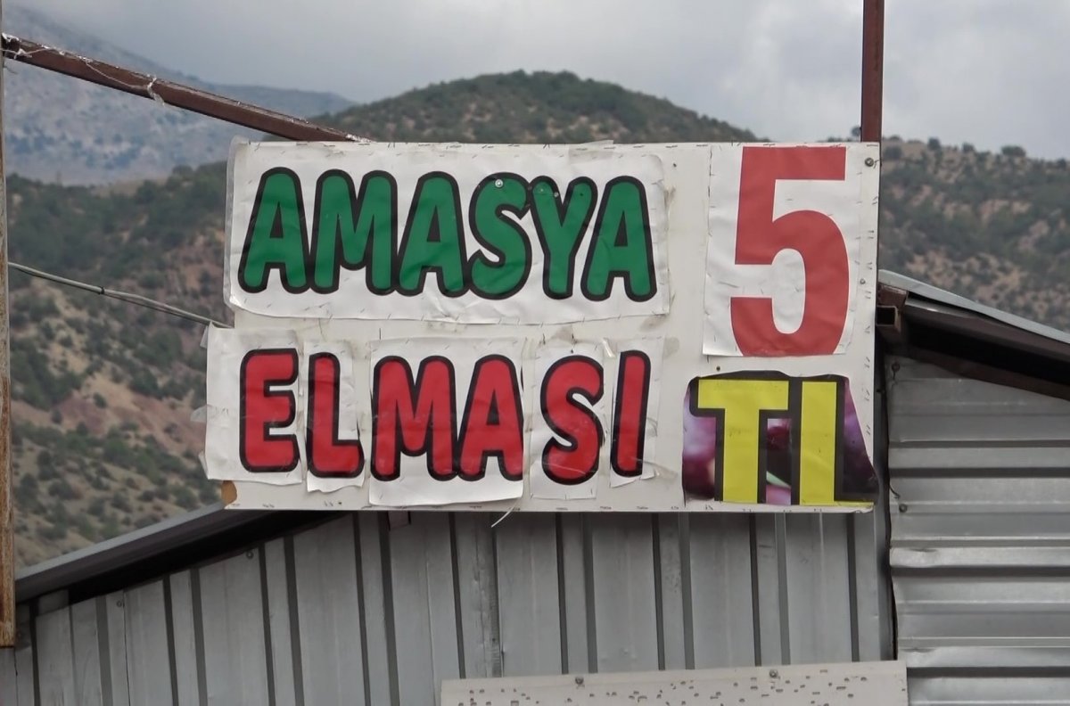 Amasya’da kilosu dalında 1,5 lira olan elma manavda 6 lira #11