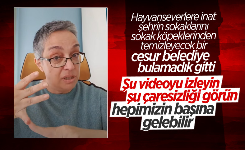 Küçükçekmece'de 14 yaşındaki oğluna köpek saldıran anne isyan etti