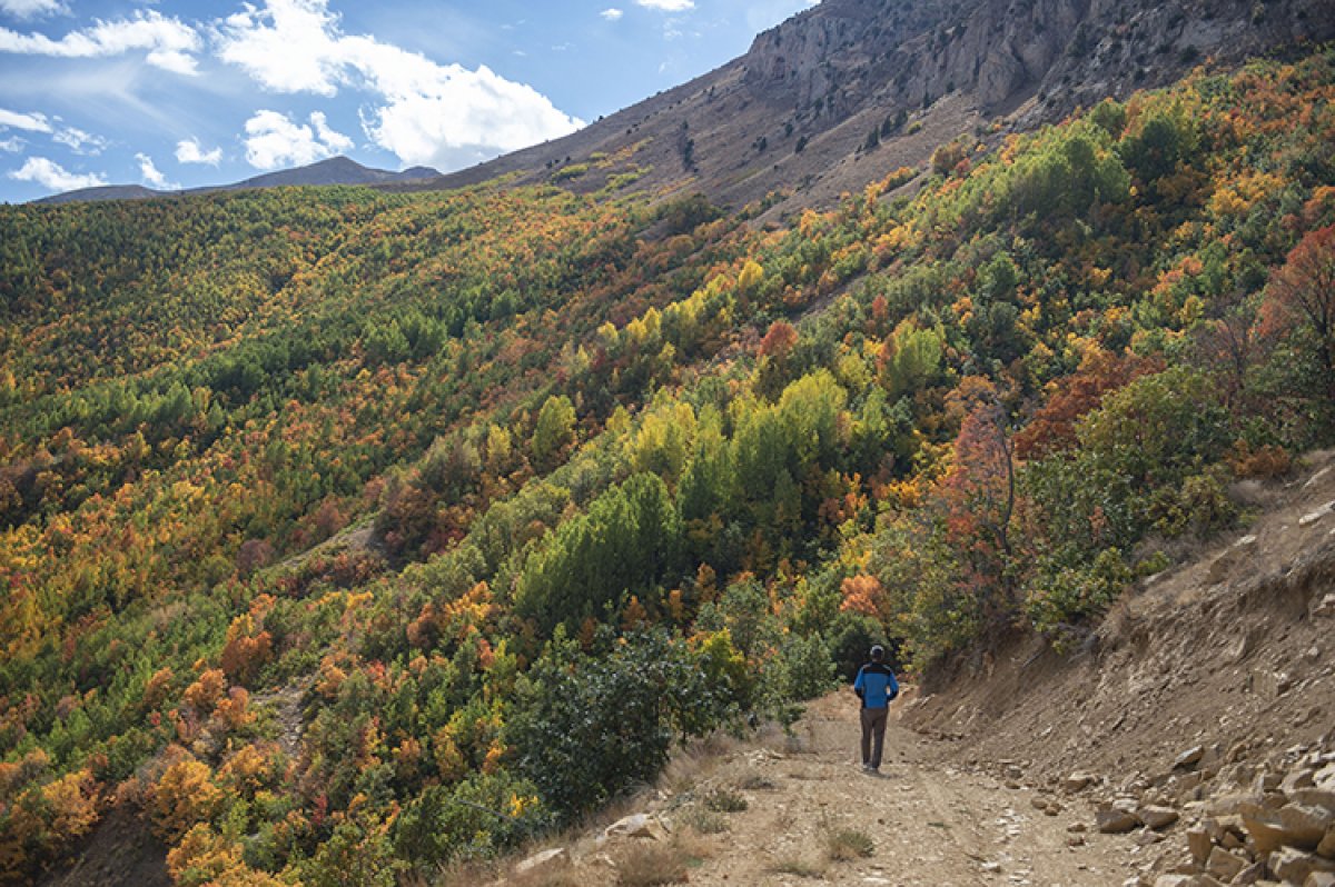 Tunceli nin Salördek Ormanları nda sonbahar renkleri #3
