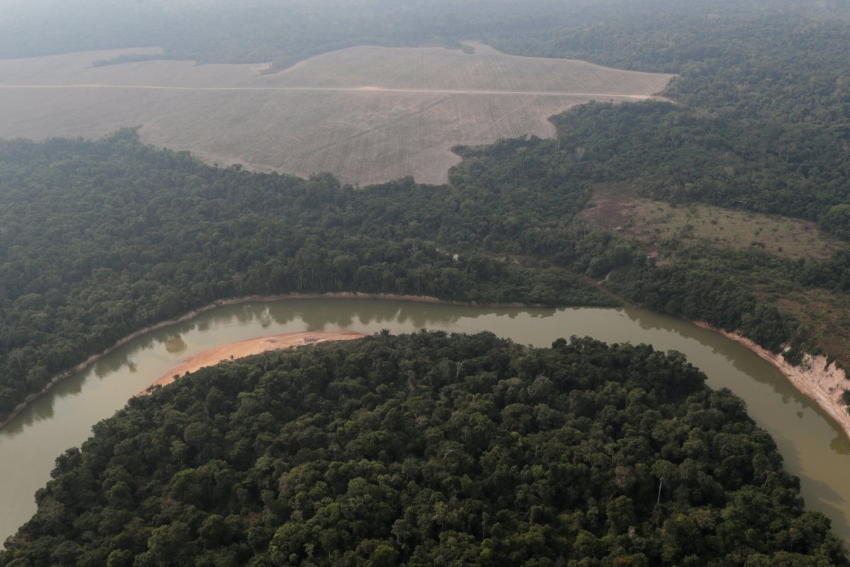 Facebook tan, Amazon Ormanları nda arazi satışını yasaklama kararı #2