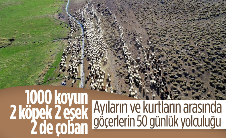 Göçerlerin Bingöl'den Şanlıurfa'ya zorlu dönüş yolculuğu