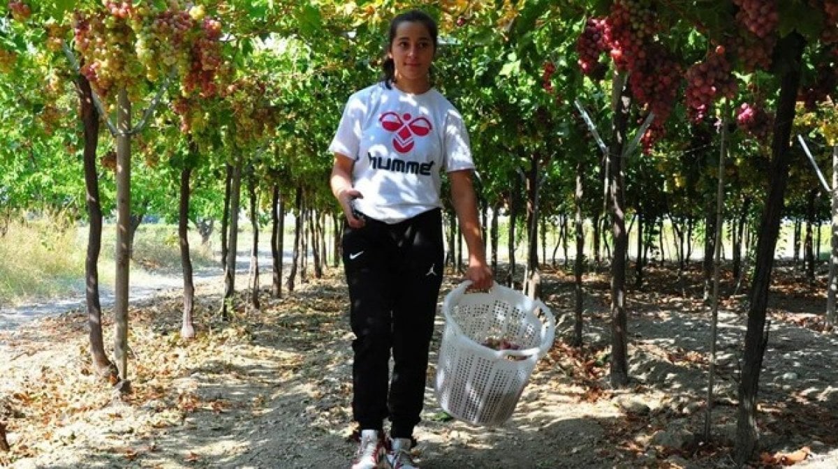 Manisalı Türkiye şampiyonu Cemile Aykoç tarlada ailesine de yardım ediyor #3