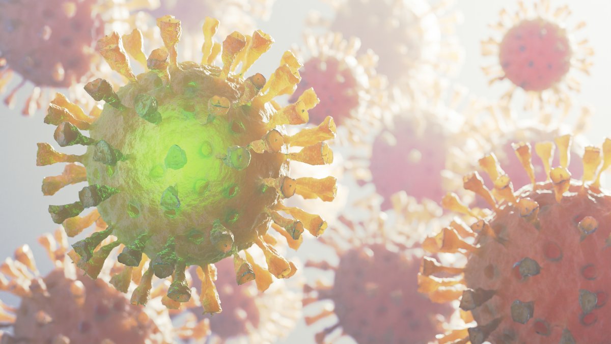 Dünyanın en ölümcül 10 viral hastalığı #1